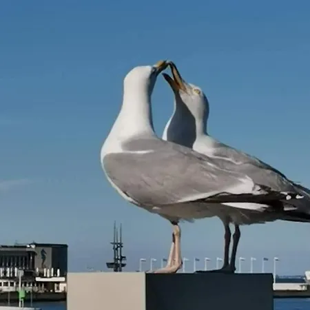 Apartment Blisko Morza