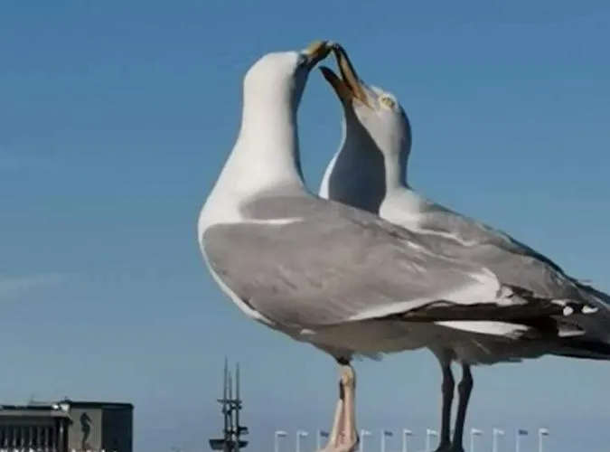 Appartement Blisko Morza